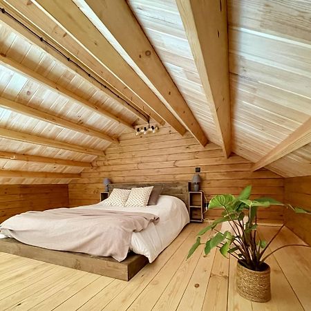 Mountain Eco Shelter 5 Otel Funchal Dış mekan fotoğraf
