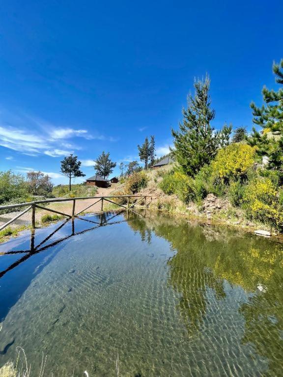 Mountain Eco Shelter 5 Otel Funchal Dış mekan fotoğraf