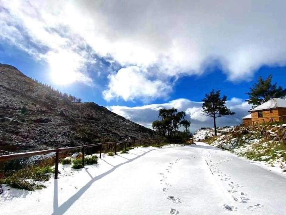 Mountain Eco Shelter 5 Otel Funchal Dış mekan fotoğraf