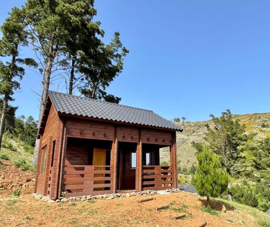 Mountain Eco Shelter 5 Otel Funchal Dış mekan fotoğraf