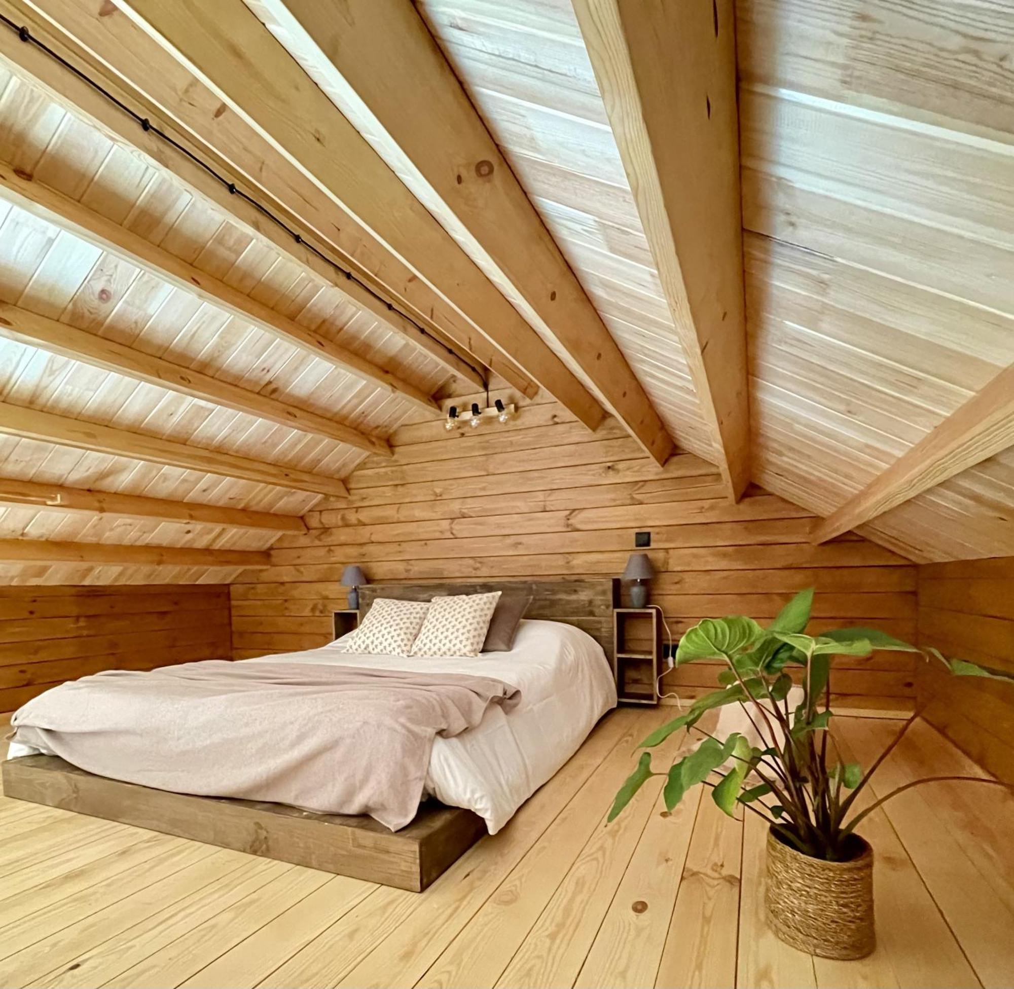 Mountain Eco Shelter 5 Otel Funchal Dış mekan fotoğraf